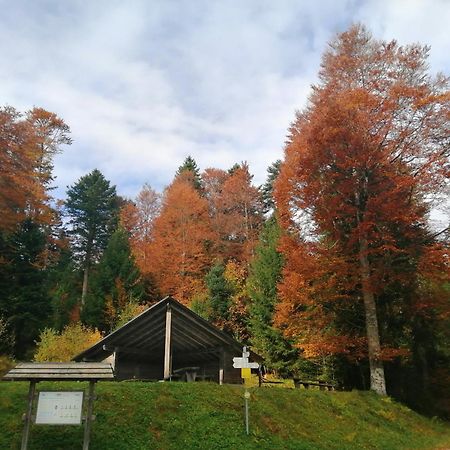 Hotel Am Kurpark Todtmoos Eksteriør bilde